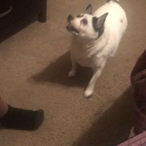 Meet your Posher, Candace